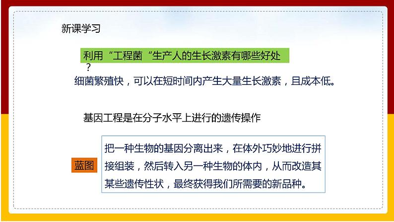 第7单元 生物技术 第2章 现代生物技术 第1节 基因工程课件PPT第8页