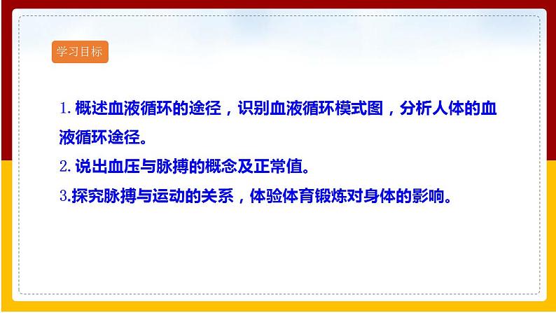 第3章 人体内的物质运输 第3节 物质运输的途径课件PPT第2页