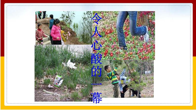 第26章 留住碧水蓝天 第2节 保护生物多样性课件PPT第4页