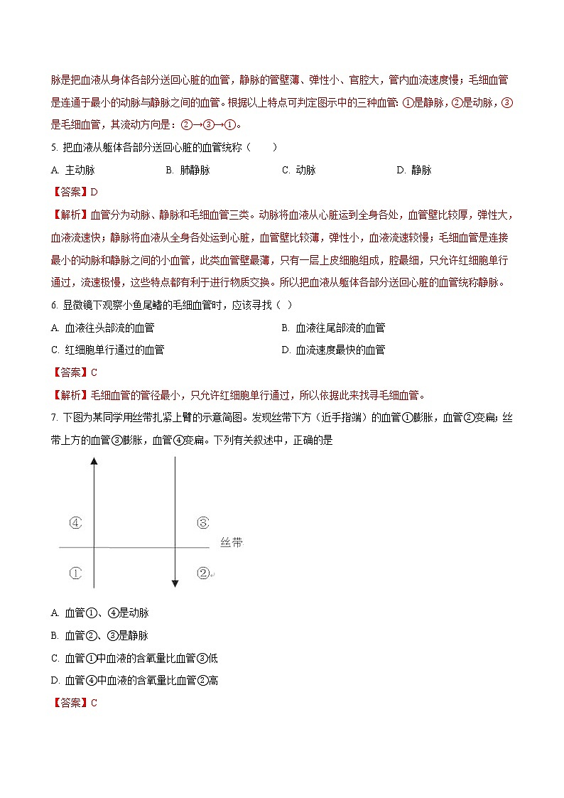 4.4.2 血流的管道--血管 同步练习1 初中生物人教版七年级下册(2022年)02