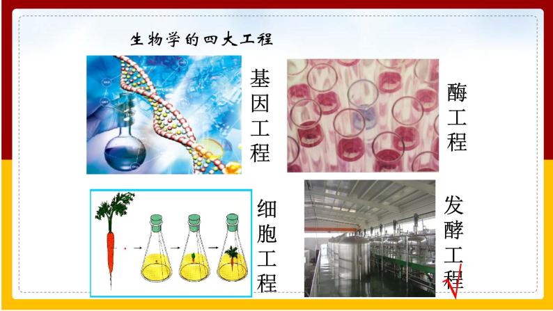 第23章 日常生活中的生物技术 第1节 源远流长的发酵技术课件PPT03