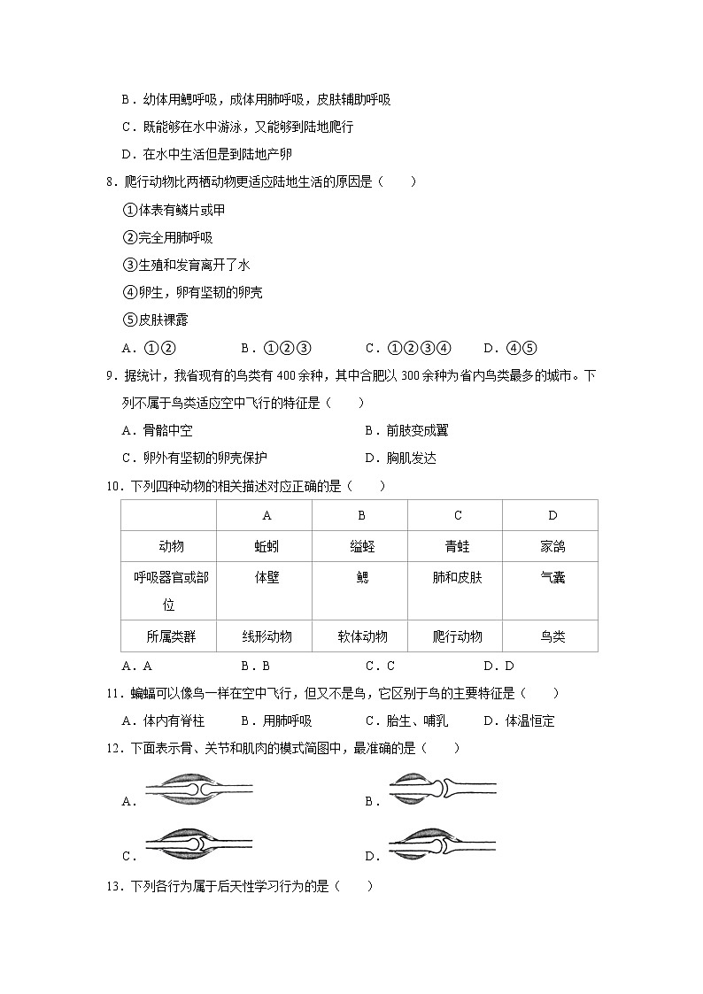 2021-2022学年安徽省亳州市利辛县八年级(上)期末生物试卷 解析版第2页