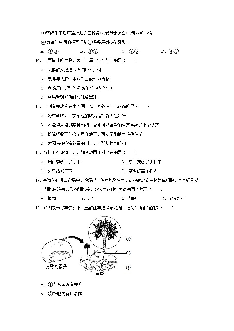 2021-2022学年安徽省亳州市利辛县八年级(上)期末生物试卷 解析版第3页