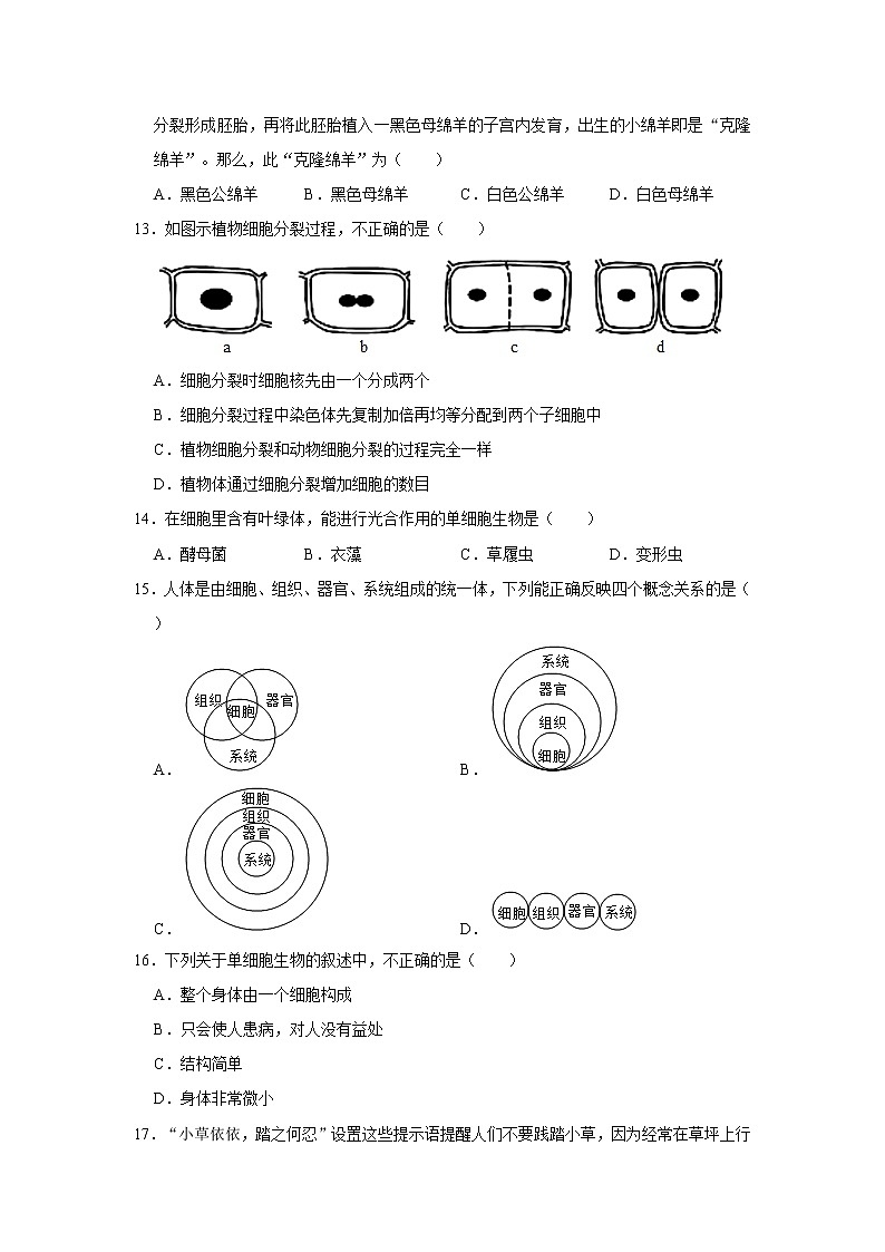 2021-2022学年安徽省芜湖市弋江区七年级(上)期末生物试卷 解析版第3页