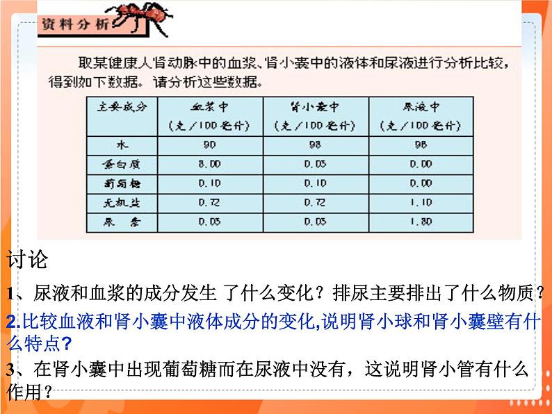 七生下 北师大版 课件11.2 尿的形成与排出第7页