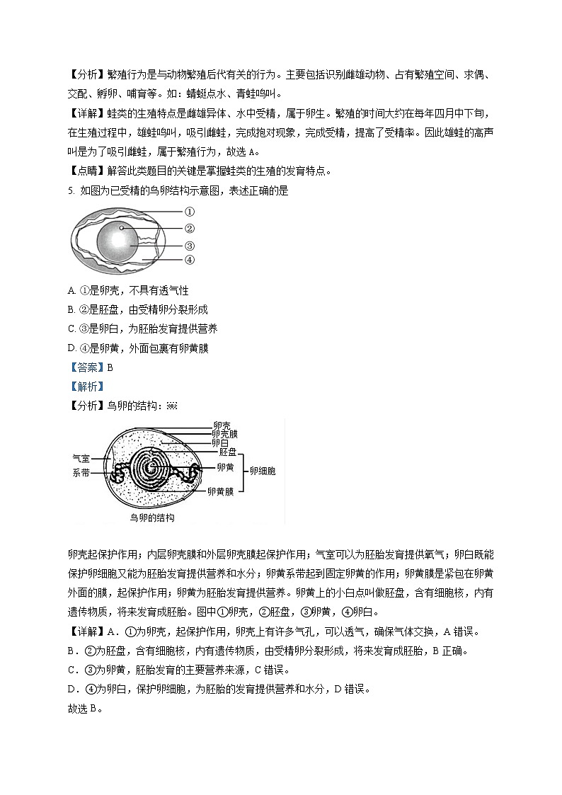 精品解析:河南省南阳市方城县2020-2021学年八年级下学期期中生物试题(解析版)第3页