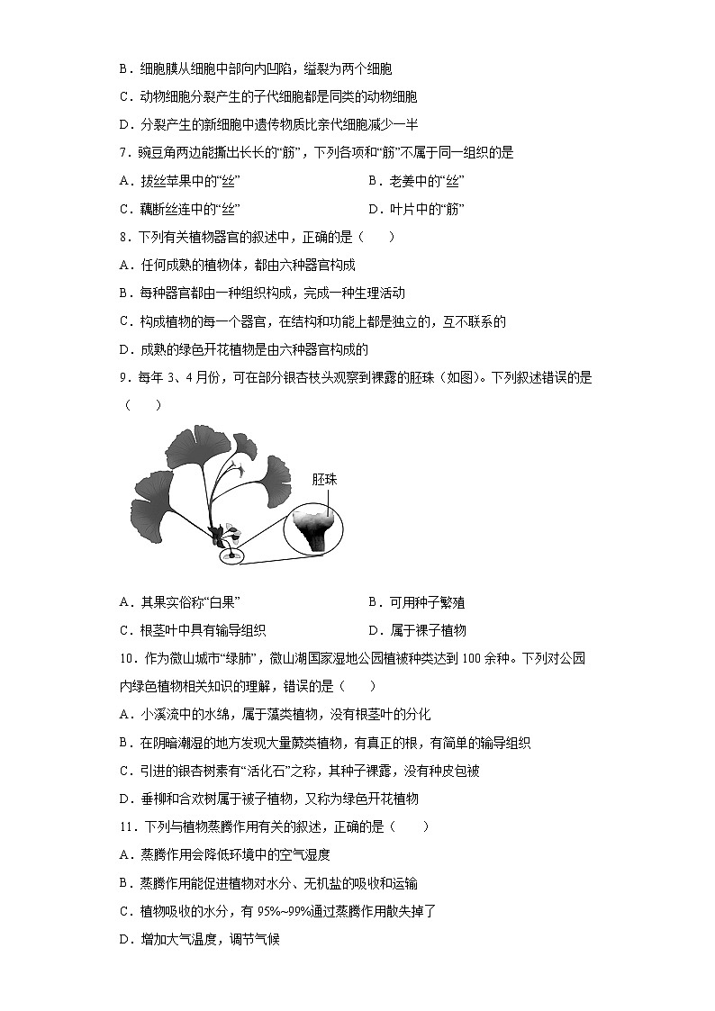 山东省滨州市无棣县2021-2022学年七年级上学期期末生物试题(word版 含答案)第2页