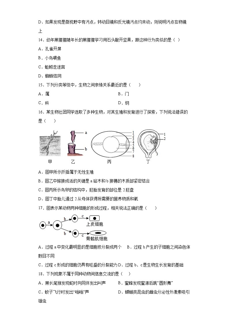 山东省济南市钢城区2021-2022学年八年级上学期期末生物试题(word版 含答案)第3页