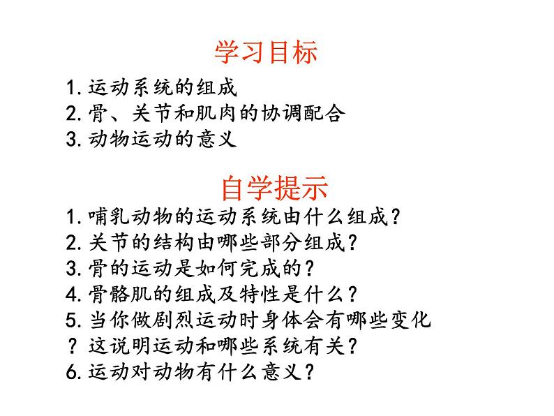 《动物的运动》课件第4页