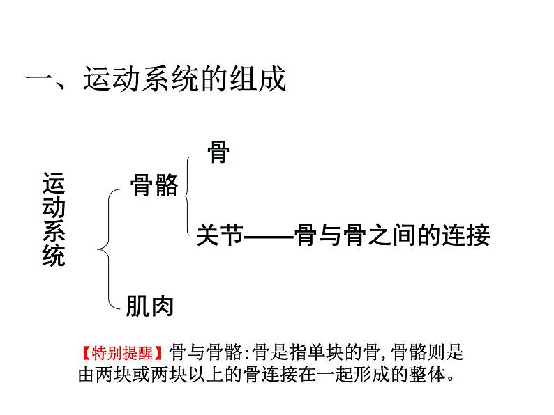 《动物的运动》课件第6页