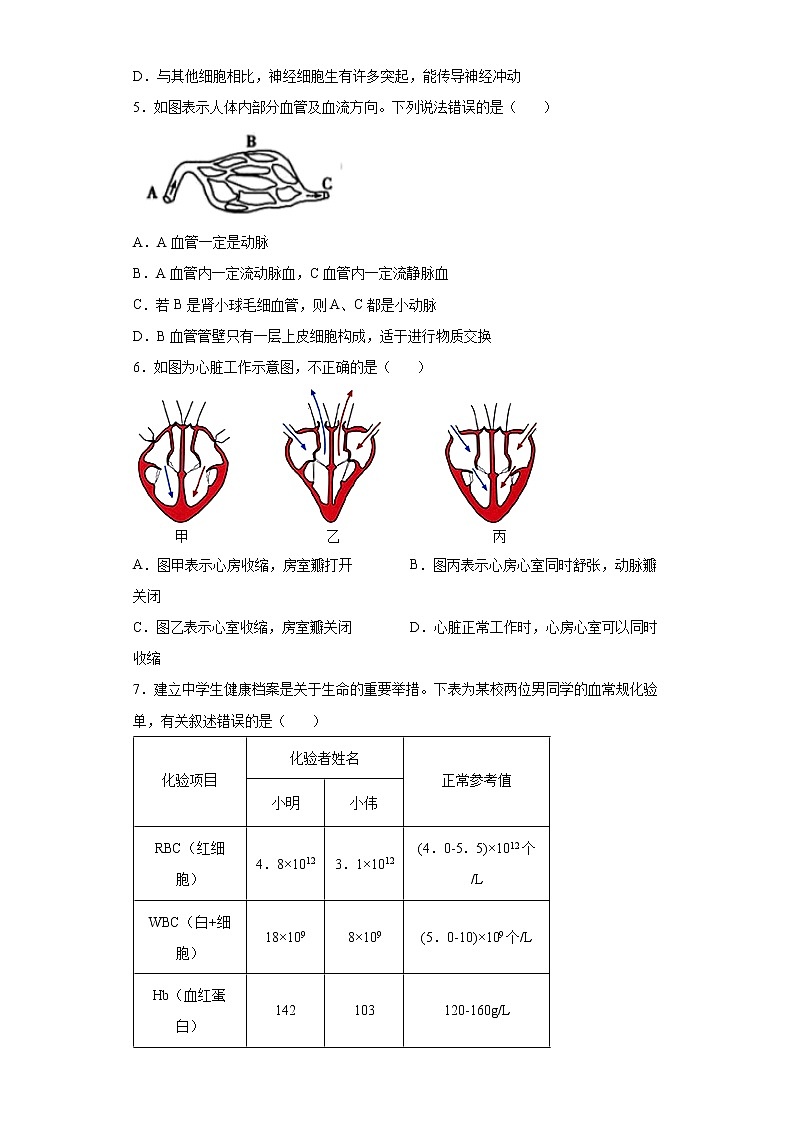 山东省菏泽市鄄城县2021-2022学年九年级上学期期末生物试题(word版 含答案)02