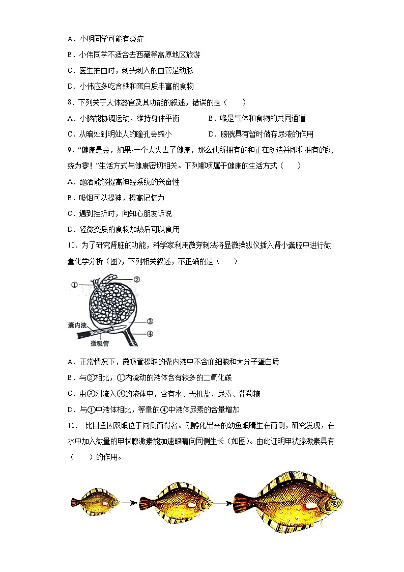 山东省菏泽市鄄城县2021-2022学年九年级上学期期末生物试题(word版 含答案)03