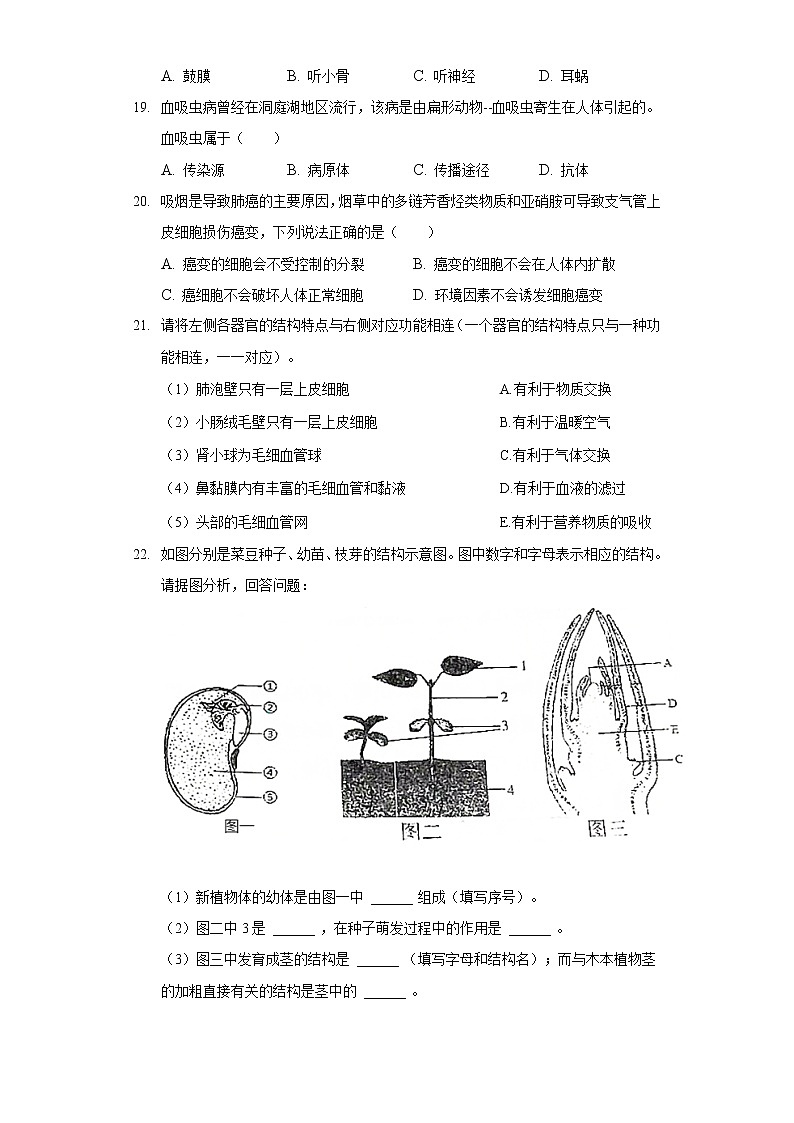 2021年辽宁省沈阳市沈河区中考生物一模试卷(含答案解析)03