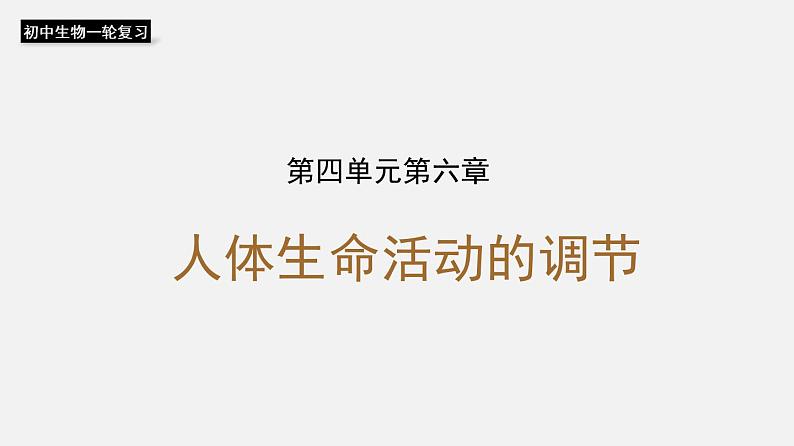 人教版初中生物复习 专题14 人体生命活动的调节(课件)第1页