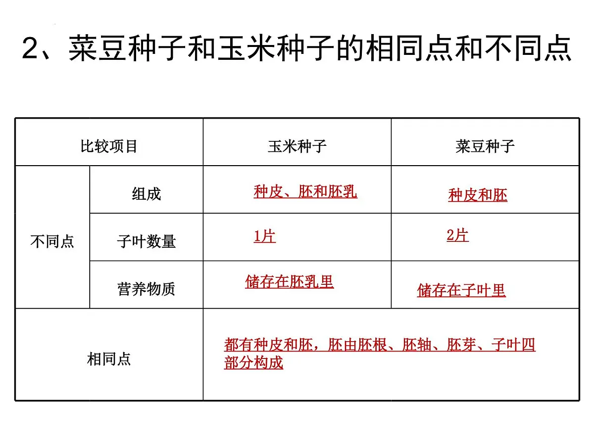 2022年生物中考二轮专题复习课件:被子植物的一生第4页