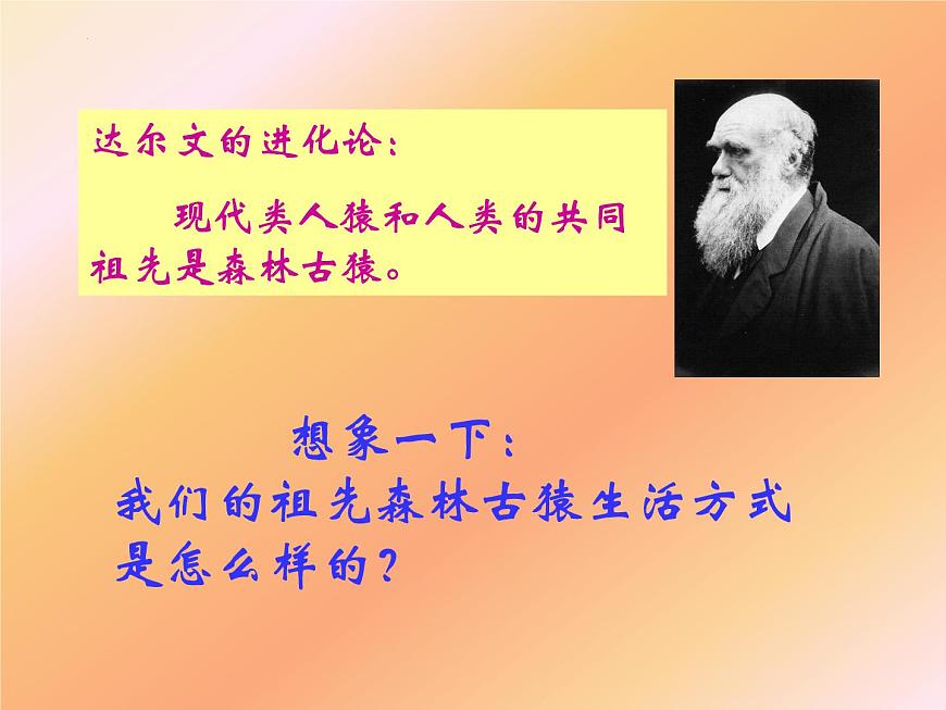 第四單元第一章第一節(jié)--人類的起源和發(fā)展課件2021--2022學(xué)年人教版七年級生物下冊第3頁