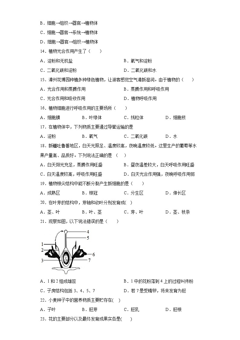 安徽省宿州市萧县2021-2022学年七年级上学期期末生物试题(word版 含答案)第3页
