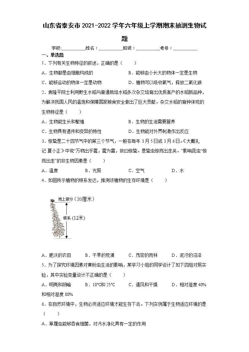 山东省泰安市2021-2022学年六年级上学期期末抽测生物试题（word版 含答案）01