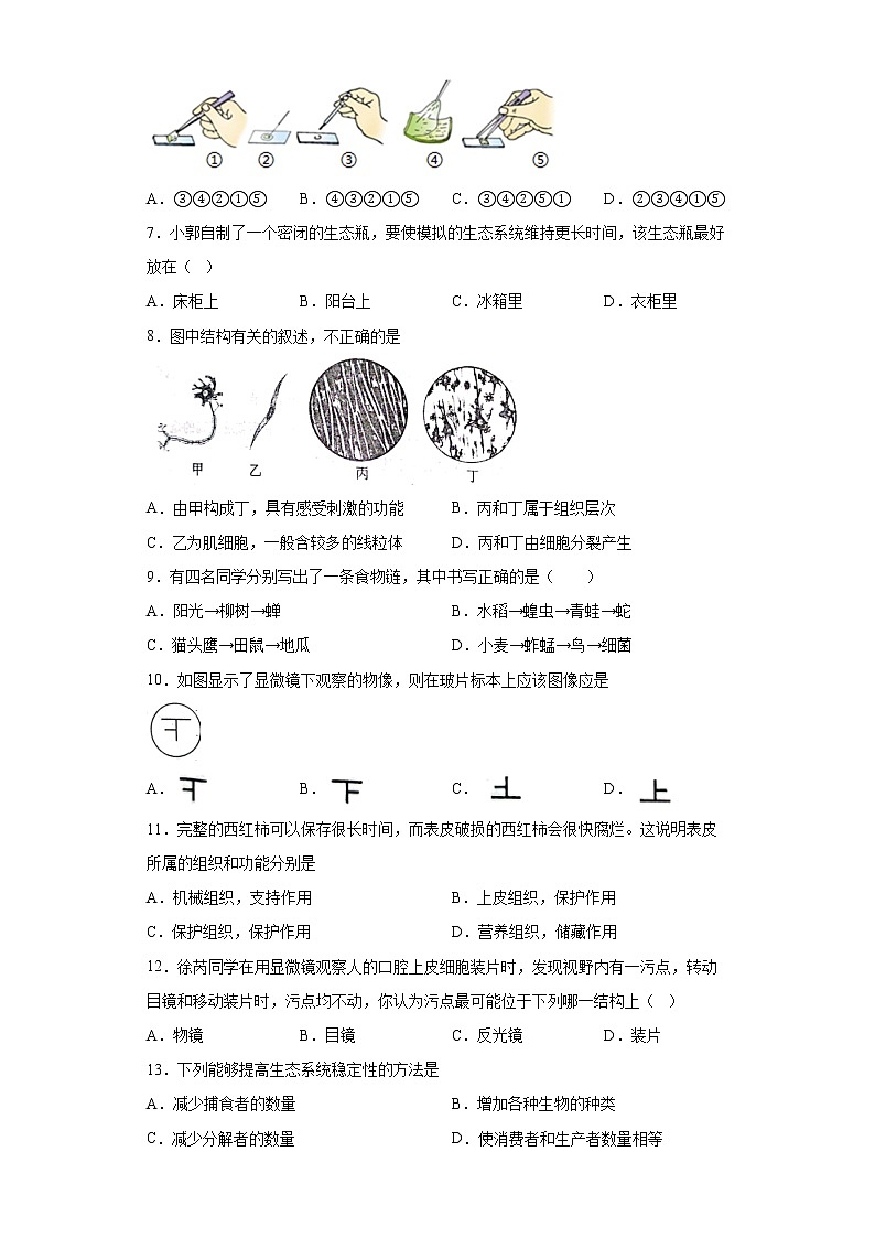 山东省济南市钢城区2021-2022学年六年级上学期期末生物试题(word版 含答案)02
