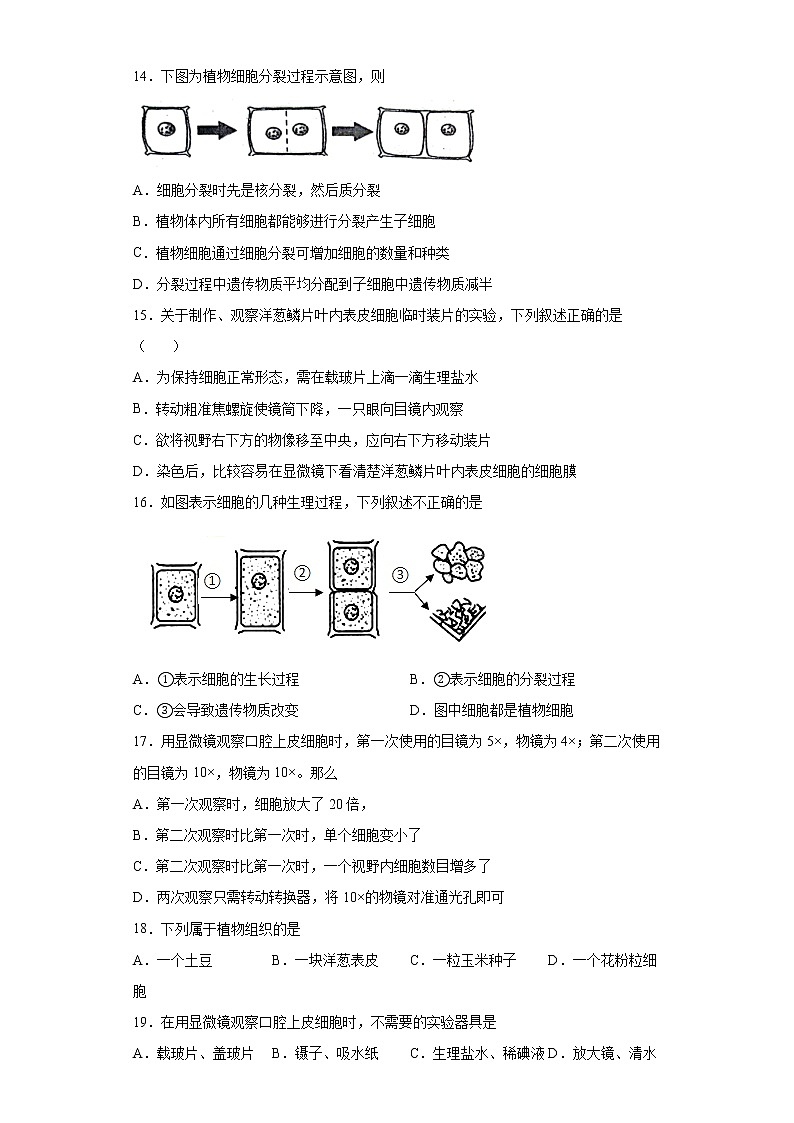 山东省济南市钢城区2021-2022学年六年级上学期期末生物试题(word版 含答案)03