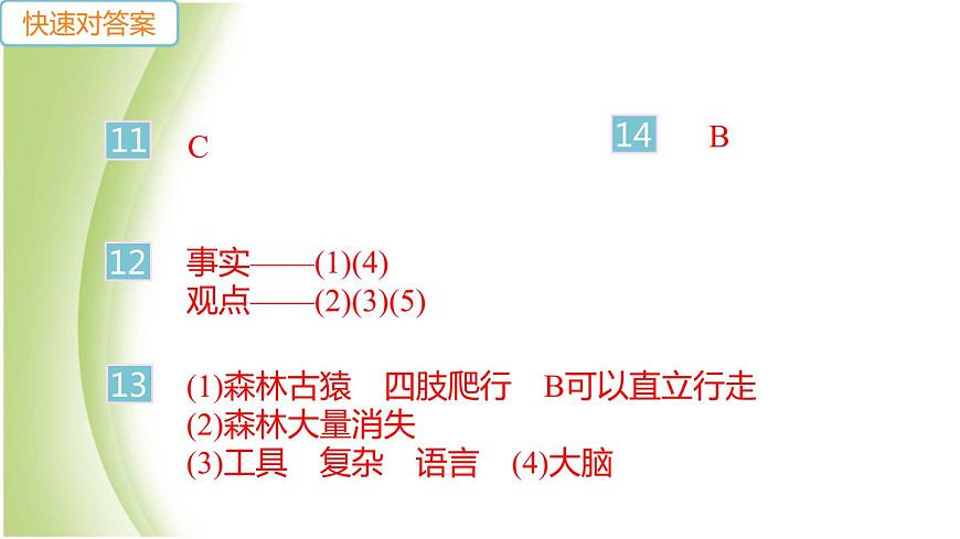 七年級(jí)生物下冊(cè)第四單元生物圈中的人第一章人的由來(lái)第一節(jié)人類的起源和發(fā)展作業(yè)課件新人教版第4頁(yè)
