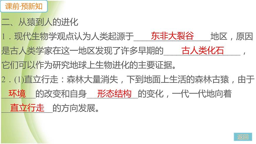 七年級(jí)生物下冊(cè)第四單元生物圈中的人第一章人的由來(lái)第一節(jié)人類的起源和發(fā)展作業(yè)課件新人教版第6頁(yè)