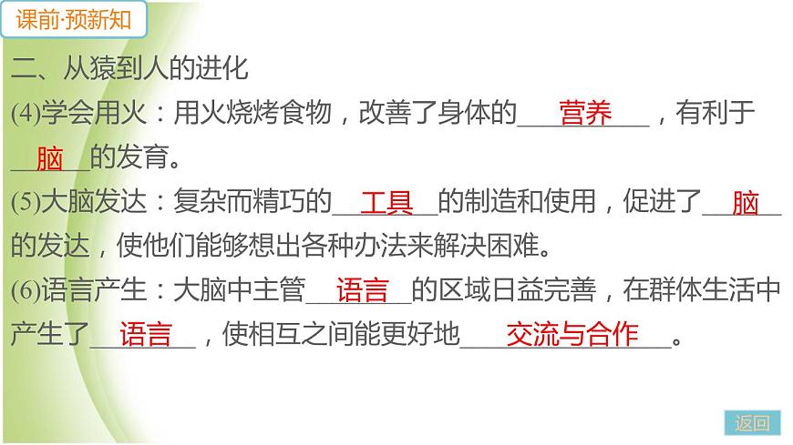 七年級(jí)生物下冊(cè)第四單元生物圈中的人第一章人的由來(lái)第一節(jié)人類的起源和發(fā)展作業(yè)課件新人教版第8頁(yè)