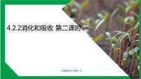 初中生物人教版 (新课标)七年级下册第四单元 生物圈中的人第二章 人体的营养第二节 消化和吸收教课课件ppt