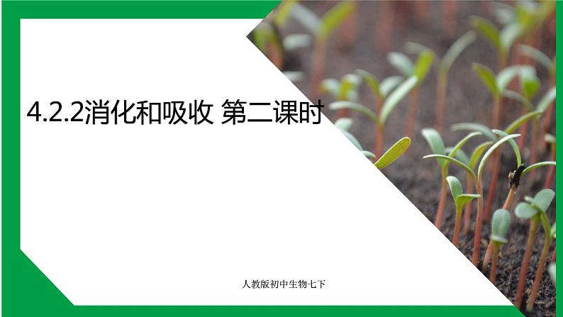 4.2.2 消化和吸收 第二课时 课件第1页