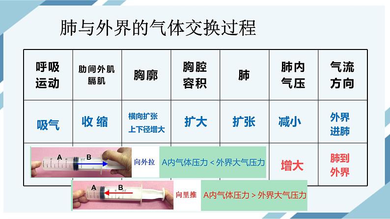 4.3.2发生在肺内的气体交换 第1课时 课件第4页