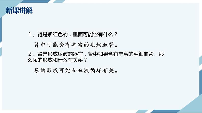 4.5 人体内废物的排出 课件第8页