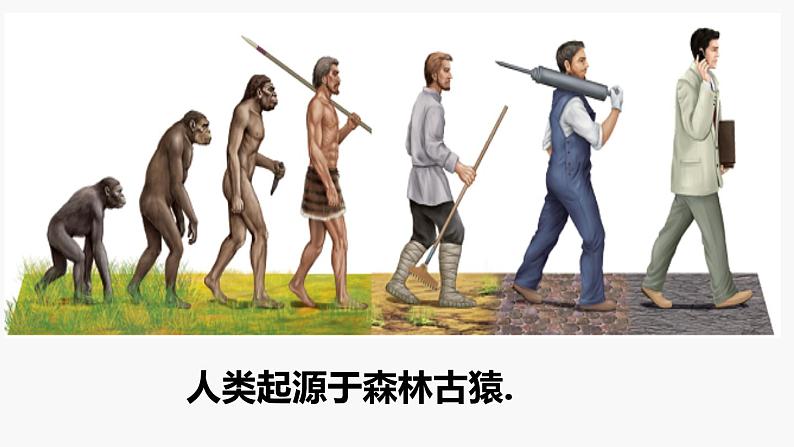 7-3-1地球上生命的起源课件2021--2022学年人教版生物八年级下册第1页