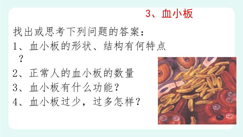 9.1血液（2）（课件+教案+练习+学案）04