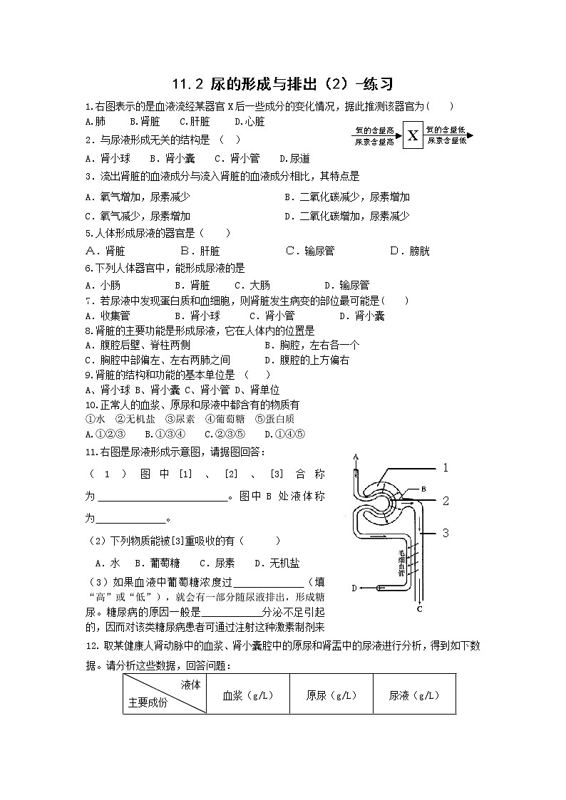 11.2 尿的形成与排出(2)(课件+教案+练习+学案)01