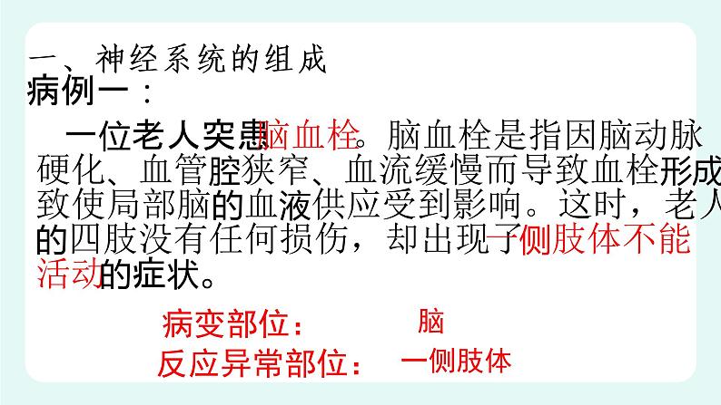 12.1神经系统与神经调节(1)-课件第4页