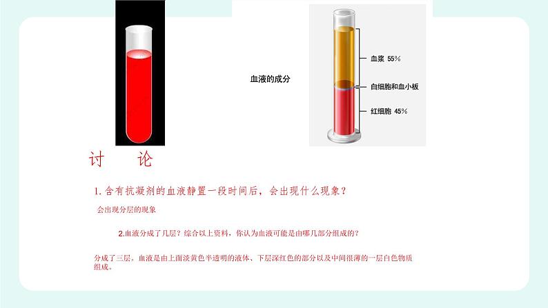9.1血液(1)-课件第4页
