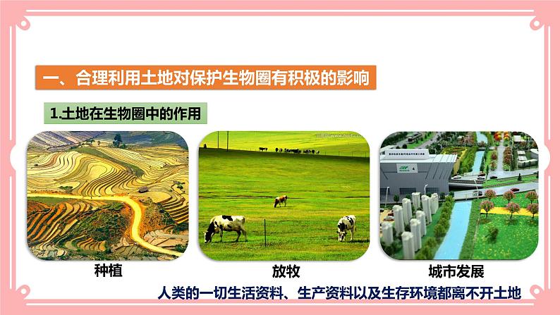14.1人类活动对生物圈的影响(课件+教案+练习+学案)05