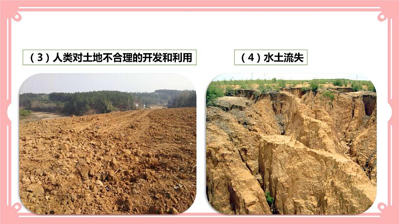 14.1人类活动对生物圈的影响(课件+教案+练习+学案)08