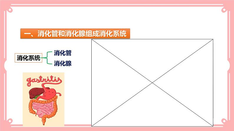 8.2食物的消化和营养物质的吸收(1)(课件+教案+练习+学案)06