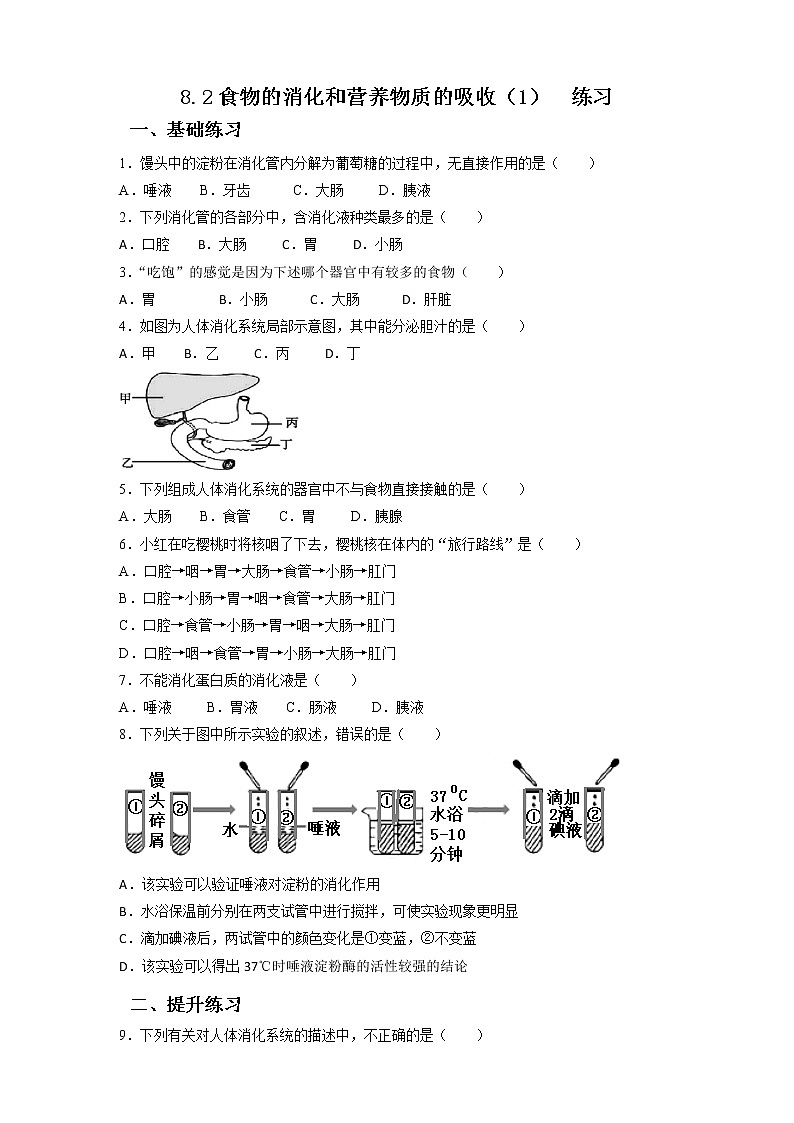 8.2食物的消化和营养物质的吸收(1)(课件+教案+练习+学案)01