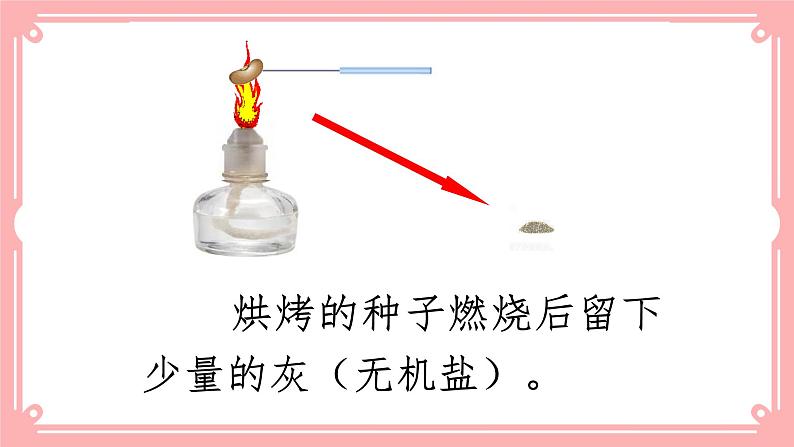 8.1人类的食物=课件第7页