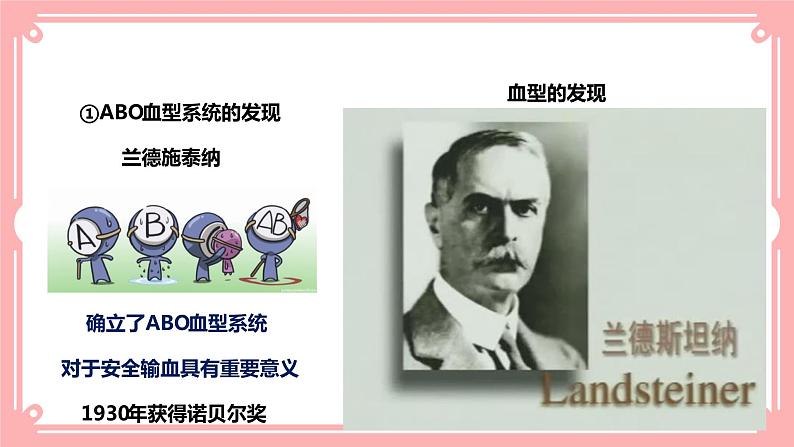 9.1血液(2)=课件第6页