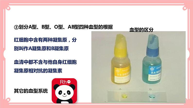 9.1血液(2)=课件第7页