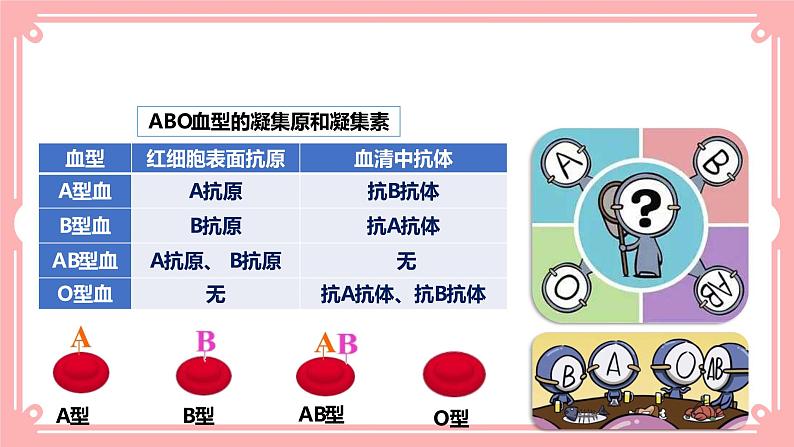 9.1血液(2)=课件第8页
