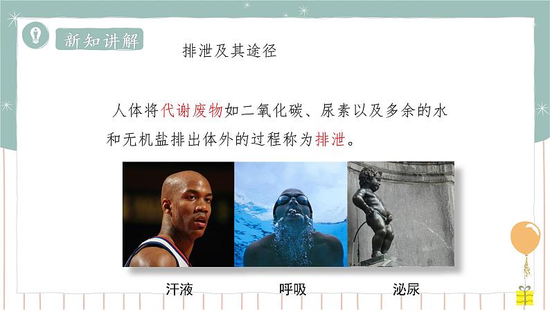 11.1人体产生的代谢废物(课件+教案+练习+导学案)05