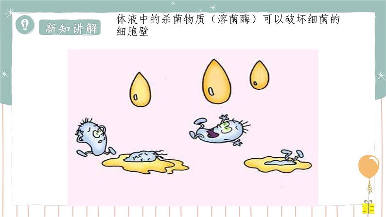 13.3 人体免疫=课件第7页
