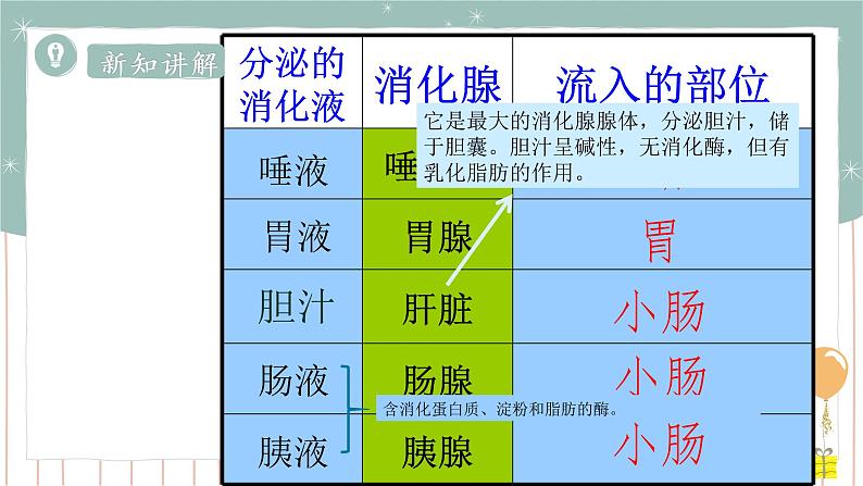 8.2食物的消化和营养物质的吸收(课件+教案+练习+导学案)06