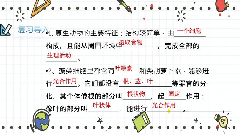 22.3植物的主要类群(1)-课件第2页