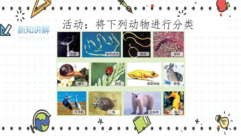 22.4动物的主要类群(1)(课件+教学设计+练习+学案)02