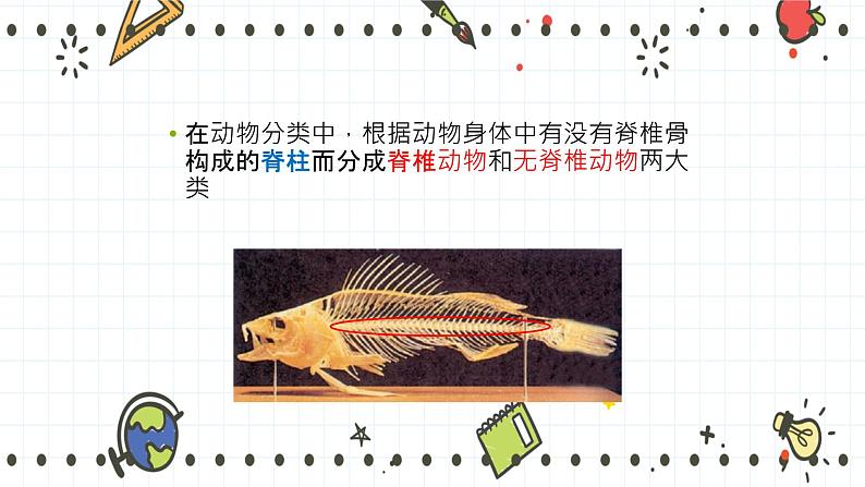 22.4动物的主要类群(1)(课件+教学设计+练习+学案)04